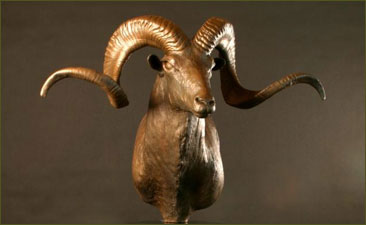 Bronze Sculpture of Marco Polo Sheep Bust on Podium