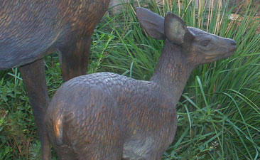 Close Up of Full Scale Bronze Garden Sculpture of Girl, Doe and Fawn