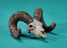 Bighorn Sheep Skull - Limited Edition Desktop Bronze Sculpture