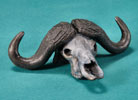 Cape Buffalo Skull - Limited Edition Desktop Bronze Sculpture