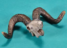 Dahl Sheep Skull - Limited Edition Desktop Bronze Sculpture
