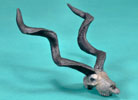 Kudu Skull - Limited Edition Desktop Bronze Sculpture