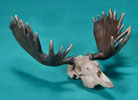 Moose Skull - Limited Edition Desktop Bronze Sculpture