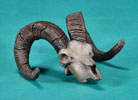 Stone Sheep Skull - Limited Edition Desktop Bronze Sculpture