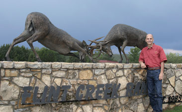 Full Scale Bronze Sculpture of Two Whitetail Deer Fighting