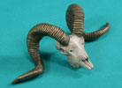 Marco Polo Sheep Skull - Limited Edition Desktop Bronze Sculpture