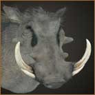 Warthog Pedestal Mount